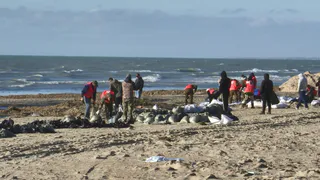 Добровольцы из Владимирской области помогут очистить побережье Чёрного моря от нефти