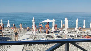 «Купаться невозможно, мы все сидим на берегу»: Черное море преподнесло гадкий сюрприз отдыхающим 