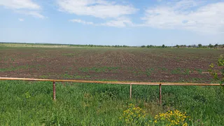 Посевные площади в Рязанской области достигли рекордных значений