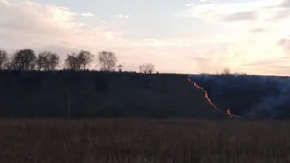 Неизвестные подожгли в Канищеве поля