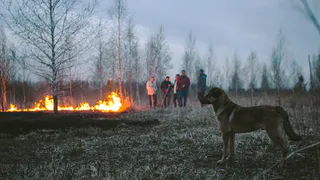 В селе Дядьково произошел пожар – комментарии очевидцев