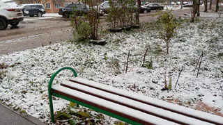 Холод и снег с дождем не отступят в Рязани 29 апреля