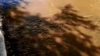 "Бассейн" прямо у школы: в Касимове затопило школьную территорию