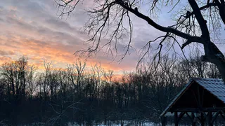 Такой весны в XXI веке еще не было: синоптики назвали даты прихода аномальной жары