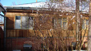 Бегом на дачу! 5 дел, которые нельзя откладывать до весны, иначе урожая не будет