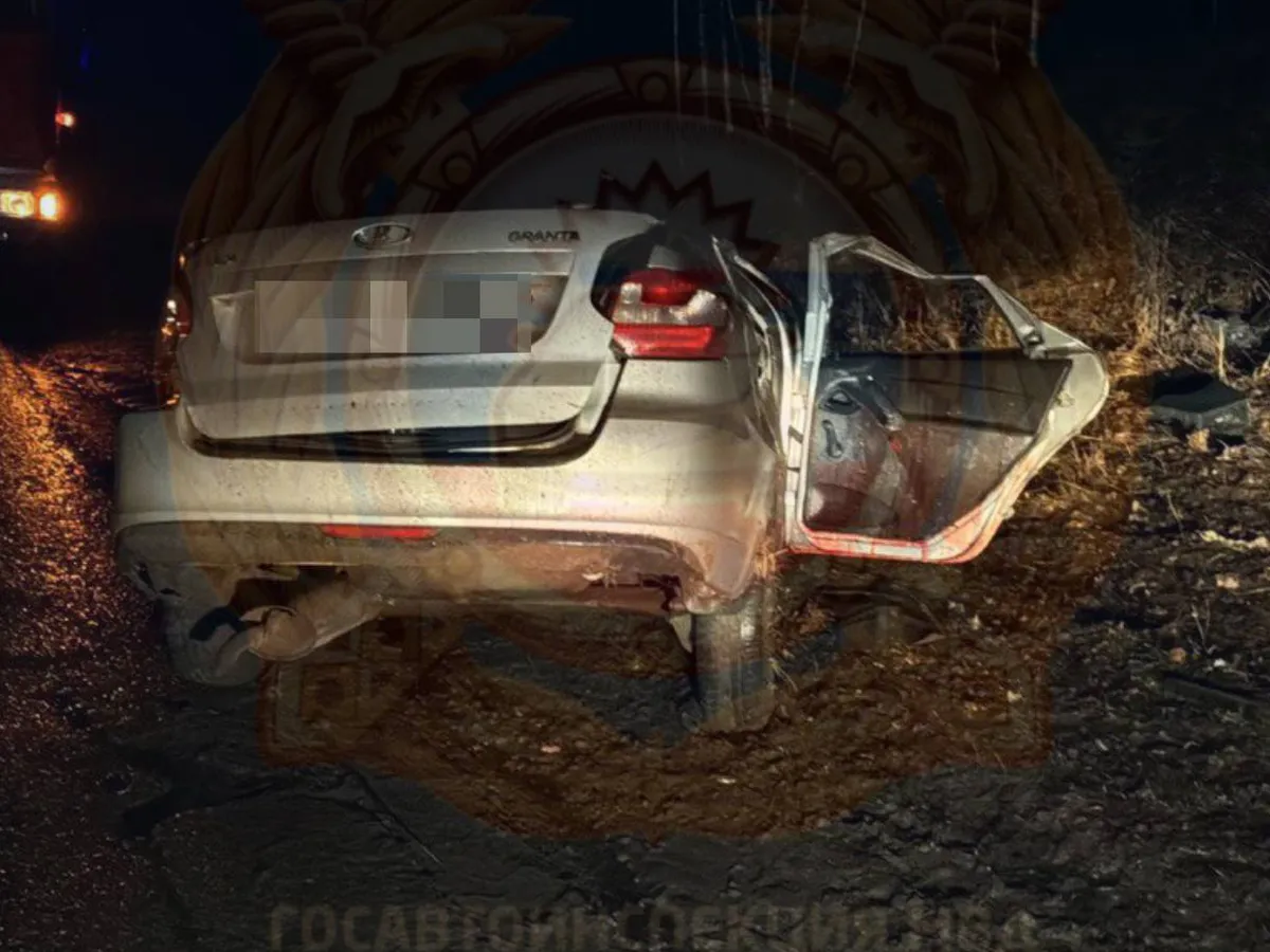 Смертельное ДТП в Бавлинском районе: пьяный водитель врезался в дерево