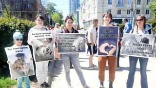В Рязани примерно 100 жителей собрались на пикет в защиту животных