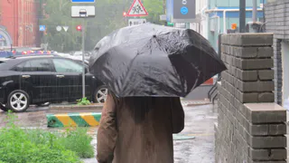 В Коми на выходных ожидаются дожди