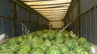 Челябинские таможенники пресекли незаконный ввоз арбузов и дынь из Казахстана