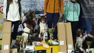 Спортсменка из Владимира взяла «бронзу» турнира по обидиенсу в Санкт-Петербурге