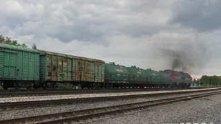 В Александро-Невском под поездом погибла пенсионерка