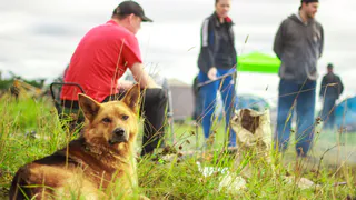 Аномальная жара нагрянет после 21 марта: лето начнется на два месяца раньше