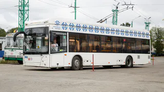 За 2 месяца в ЧТУ Минтранса Чувашии пришли на работу почти 50 водителей