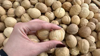 4 причины, почему я всегда ношу грецкий орех в кармане - этот способ передают из поколения в поколение