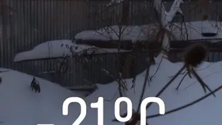 Лютый мороз. Как справляются с холодом рязанцы