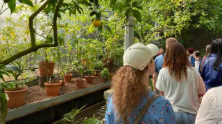 Птица Счастья сядет на макушку: астролог Василиса Володина назвала знак, у которого с 1 июля начнется новая жизнь