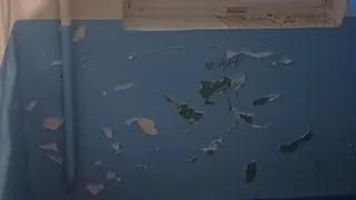 «Посмотрите, во что превратило нас бездействие»