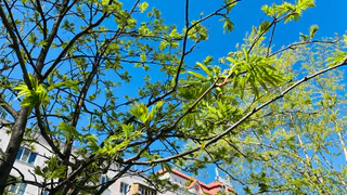 Жаркая погода и высокая пожароопасность сохранятся в Чувашии 30 мая