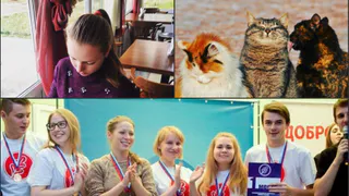 Утро рязанцев в Инстраграм: завтрак в санатории, победа на фестивале и котики