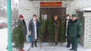 Брянским врачам подарили елки к Новому году
