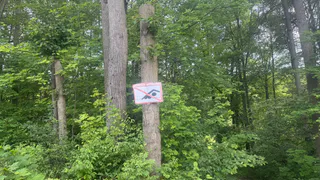 В Рязанской области нашли опасные пляжи и места для купания