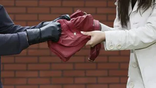 В Пензе на улице Пролетарской неизвестный выхватил из рук женщины дамскую сумку