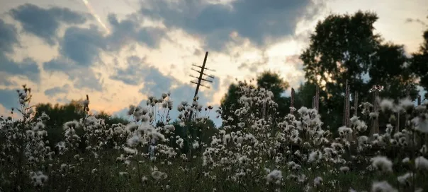 Бабье лето возвращается в Челябинскую область: осеннее тепло окутает регион