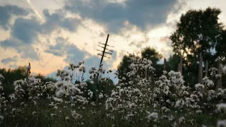 Бабье лето возвращается в Челябинскую область: осеннее тепло окутает регион