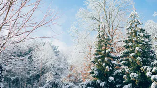 Мороз, гололедица и сильный ветер: синоптики рассказали, какая погода ждет рязанцев в выходные