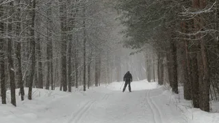 В Татарстане ожидается похолодание и метель