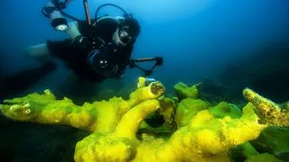 В Тихом океане на глубине 4 километров нашли то, что способно изменит всю земную историю