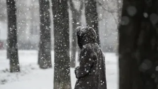 23 ноября на территории Пензенской области снова будет идти снег