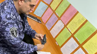 Житель Коми незаконно вырубил леса на 13 млн рублей: ему грозит семилетний срок