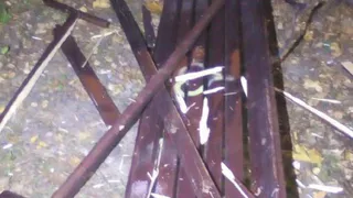 Сила есть - ума не надо: в Рязани вандалы разгромили Гагаринский парк