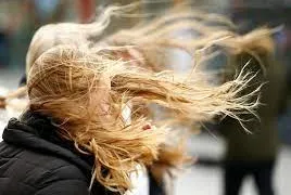  В Рязанской области ожидаются сильные порывы ветра до 17 м/с