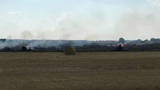 25 августа в рязанской Солотче загорелся луг