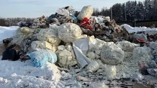 Экс-директор мусорного полигона под Киржачом сжигал отходы и отравлял почву