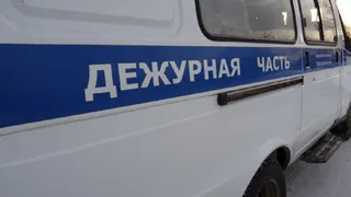 Интинцу понадобилось всего 10 дней на свободе, чтобы совершить три кражи