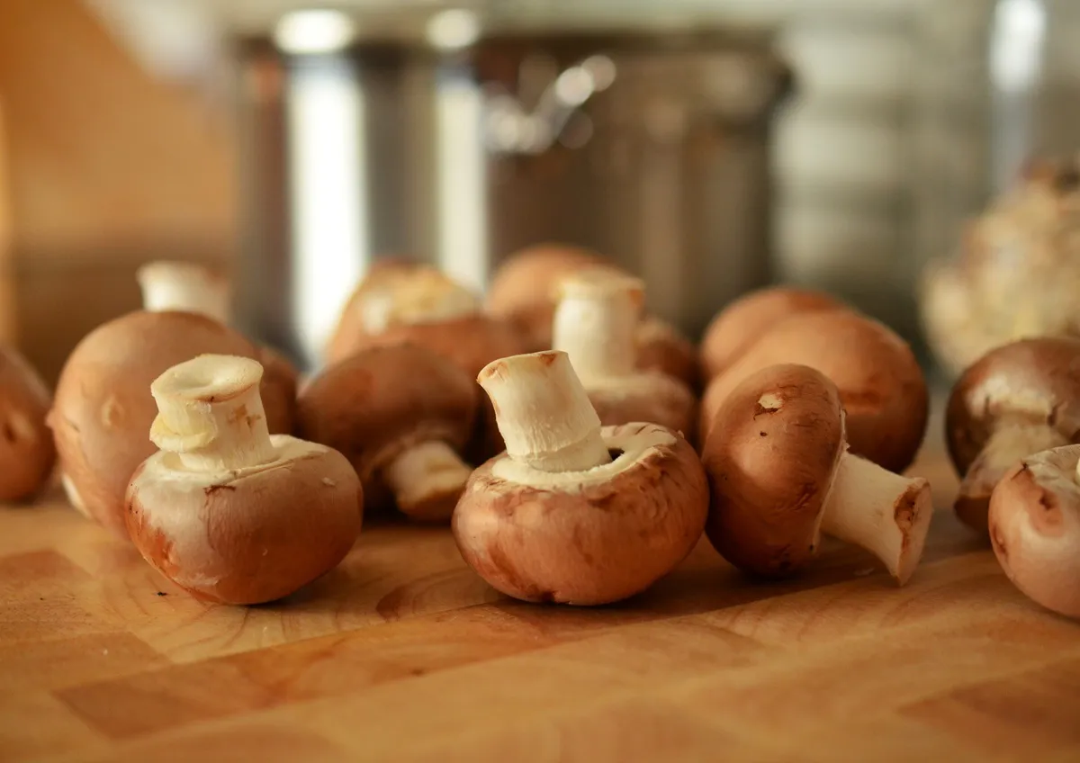 Ученые назвали самый полезный гриб: не шампиньоны, не вешенки и в разы полезнее, чем лисички
