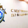 16-летнюю девушку из Меленок поймали на дропперстве