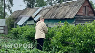 Вот что делаю с жимолостью в начале октября: в новом сезоне ведрами гребу урожай больших сладких ягод