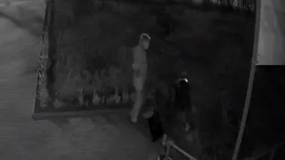 В Рязани появились цветочные воры