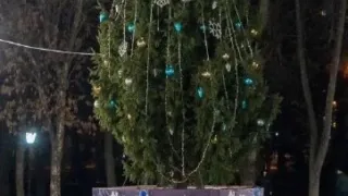 В Пензе на демонтаж елки на Соборной площади потратят 222 тысячи рублей