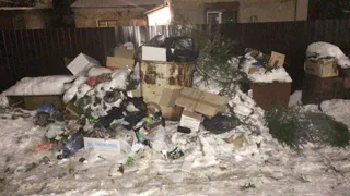 О наболевшем: Рязань зарастает мусором