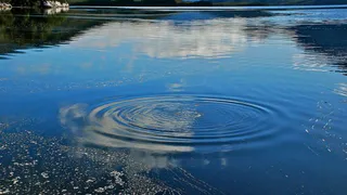 В Жуковском районе утонул мальчик