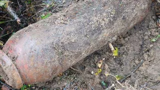 В Дубровском районе обезвредили авиабомбу 50 кг