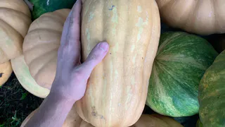 В Пензе прошёл юбилейный агрофорум с участием более 450 специалистов