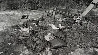 Суд обязал убрать свалки с кладбища в прилузском селе в Коми