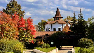 Нижнекамску предстоит масштабное озеленение