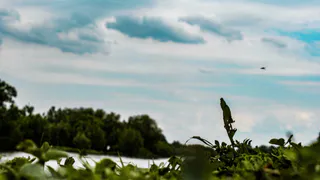 Как бы не растаять... Август в Рязани начнется с палящего зноя